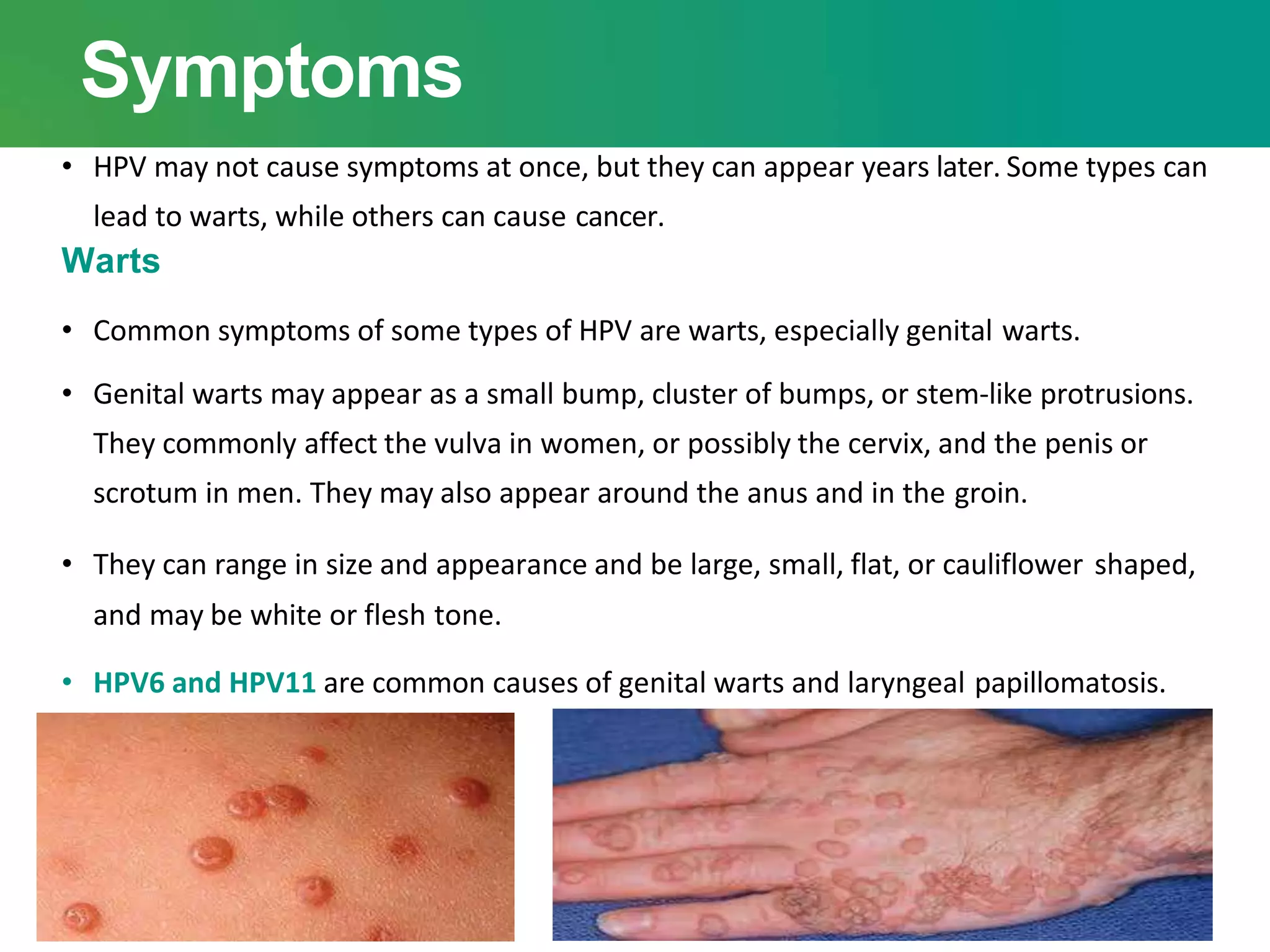 Symptoms
• HPV may not cause symptoms at once, but they can appear years later. Some types can
lead to warts, while others can cause cancer.
Warts
• Common symptoms of some types of HPV are warts, especially genital warts.
• Genital warts may appear as a small bump, cluster of bumps, or stem-like protrusions.
They commonly affect the vulva in women, or possibly the cervix, and the penis or
scrotum in men. They may also appear around the anus and in the groin.
• They can range in size and appearance and be large, small, flat, or cauliflower shaped,
and may be white or flesh tone.
• HPV6 and HPV11 are common causes of genital warts and laryngeal papillomatosis.