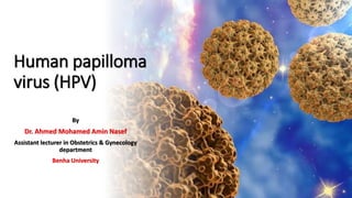 Human papilloma
virus (HPV)
By
Dr. Ahmed Mohamed Amin Nasef
Assistant lecturer in Obstetrics & Gynecology
department
Benha University
 