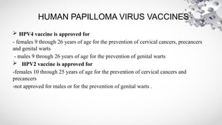 Presentation on human papiloma virus and its briefly description | PPTX