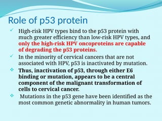 Human Papillomavirus (HPV) Role in Cervical Precancerous Lesions and ...