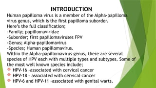 Comprehensive Overview of Human Papillomavirus (HPV): Structure ...