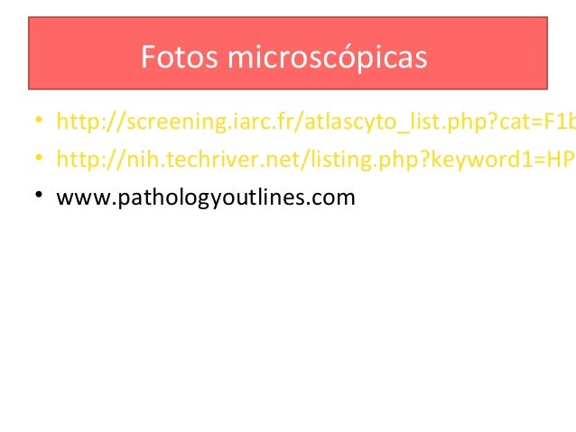 Natural History Of The Infection For Human Papillomavirus An Actualization Natural History Of The Infection For Human Papillomavirus An Actualization