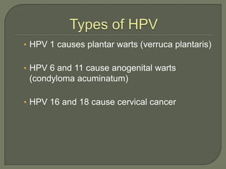 Types of HPV<br />HPV 1 causes plantar warts (verrucaplantaris)<br />HPV 6 and 11 cause anogenital warts (condylomaacumina...