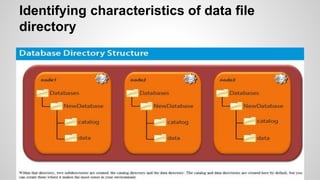 Identifying characteristics of data file
directory
 