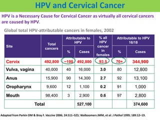 Global total HPV-attributable cancers in females, 2002
Site
Total
cancers
Attributable to
HPV
% all
HPV
cancer
in
females
Attributable to HPV
16/18
% Cases % Cases
Cervix 492,800 ~100 492,800 93.5 70+ 344,900
Anus 15,900 90 14,300 2.7 92 13,100
Oropharynx 9,600 12 1,100 0.2 91 1,000
Mouth 98,400 3 2,900 0.6 97 2,800
Vulva, vagina 40,000 40 16,000 3.0 80 12,800
Total 527,100 374,600
HPV is a Necessary Cause for Cervical Cancer as virtually all cervical cancers
are caused by HPV.
HPV and Cervical Cancer
Adapted from Parkin DM & Bray F. Vaccine 2006; 24:S11–S25; Walboomers JMM, et al. J Pathol 1999; 189:12–19.
 