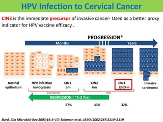 CIN3 is the immediate precursor of invasive cancer- Used as a better proxy
indicator for HPV vaccine efficacy .
Invasive
carcinoma
Normal
epithelium
HPV infection
koilocytosis
CIN1
3m
CIN2
6m
CIN3
12-24m
YearsMonths
PROGRESSION*
LSIL/ASCUS HSIL
REGRESSION ( ~1-2 Yrs)
HPV Infection to Cervical Cancer
57% 43% 32%
Burd. Clin Microbiol Rev 2003;16:1–17; Solomon et al. JAMA 2002;287:2114–2119
 