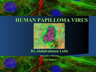 HUMAN PAPILLOMA VIRUS Dr.Abdulrahman Lotfy Preventive Medicine Jahra Hospital 