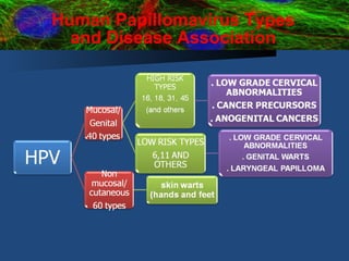 Human Papillomavirus Types and Disease Association 