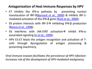 Antagonization of Host Immune Responses by HPV
• E7 inhibits the IFN-α pathway by preventing nuclear
translocation of IRF-9(Barnard et al., 2000) & Inhibits IRF-1-
mediated activation of the IFN-β gene (Park et al., 2000).
• E6 protein interacts with IRF-3 inhibiting IFN-β production
(Ronco et al., 1998).
• E6 interferes with JAK-STAT activation inhibit IFN-α-
associated signaling (Li et al., 1999).
• HPV E5-E7 block the antigen recognition and activation of T-
cells through dysregulation of antigen processing &
presenting machinery.
Viral immune evasion facilitates the persistence of HPV infection-
increases risk of the development of HPV-mediated malignancy.
 