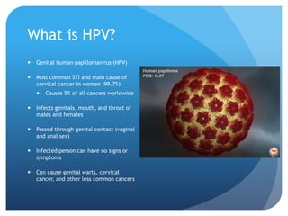 What is HPV?
 Genital human papillomavirus (HPV)
 Most common STI and main cause of
cervical cancer in women (99.7%)
 C...
