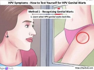 https://hpvhub.com
HPV Symptoms - How to Test Yourself for HPV Genital Warts
Method 1 - Recognizing Genital Warts
1. Learn what HPV genital warts look like.
 