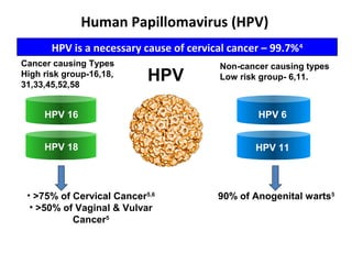 HPV 16
HPV 18
HPV 6
HPV 11
Cancer causing Types
High risk group-16,18,
31,33,45,52,58
Non-cancer causing types
Low risk group- 6,11.
• >75% of Cervical Cancer5,6
• >50% of Vaginal & Vulvar
Cancer5
90% of Anogenital warts5
HPV is a necessary cause of cervical cancer – 99.7%4
HPV
Human Papillomavirus (HPV)
 