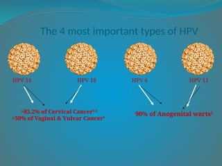 hpv vaccination.2.pptx myths and facts ..it’s impact | PPTX