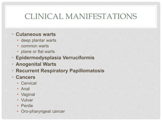 CLINICAL MANIFESTATIONS
• Cutaneous warts
• deep plantar warts
• common warts
• plane or flat warts
• Epidermodysplasia Verruciformis
• Anogenital Warts
• Recurrent Respiratory Papillomatosis
• Cancers
• Cervical
• Anal
• Vaginal
• Vulvar
• Penile
• Oro-pharyngeal cancer
 