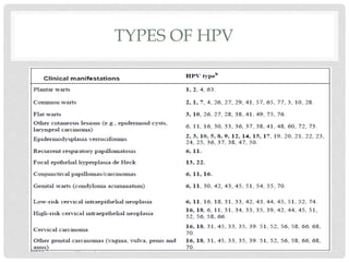 TYPES OF HPV
 