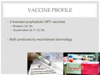 VACCINE PROFILE
• 2 licensed prophylactic HPV vaccines
• Bivalent (16,18)
• Quadrivalent (6,11,16,18)
• Both produced by recombinant technology
 