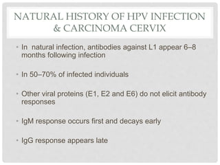 NATURAL HISTORY OF HPV INFECTION
& CARCINOMA CERVIX
• In natural infection, antibodies against L1 appear 6–8
months following infection
• In 50–70% of infected individuals
• Other viral proteins (E1, E2 and E6) do not elicit antibody
responses
• IgM response occurs first and decays early
• IgG response appears late
 