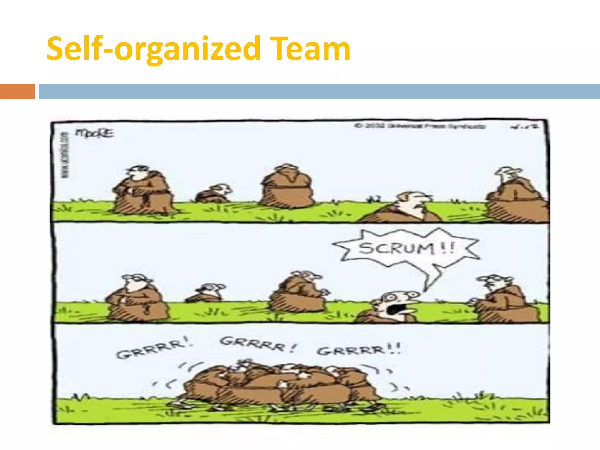 Self-organized Team
 