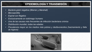 EPIDEMIOLOGÍA Y TRANSMISIÓN
• Bacteria gram negativa (Warren y Marshall)
• Microaerófila
• Espiral con flagelos
• Exclusiv...