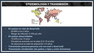 EPIDEMIOLOGÍA Y TRANSMISIÓN
• En países en vías de desarrollo
o 50-66% a los 2 años
o Riesgo de infección 3-10% por año
• ...