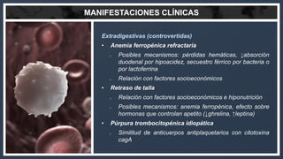 MANIFESTACIONES CLÍNICAS
Extradigestivas (controvertidas)
• Anemia ferropénica refractaria
o Posibles mecanismos: pérdidas...