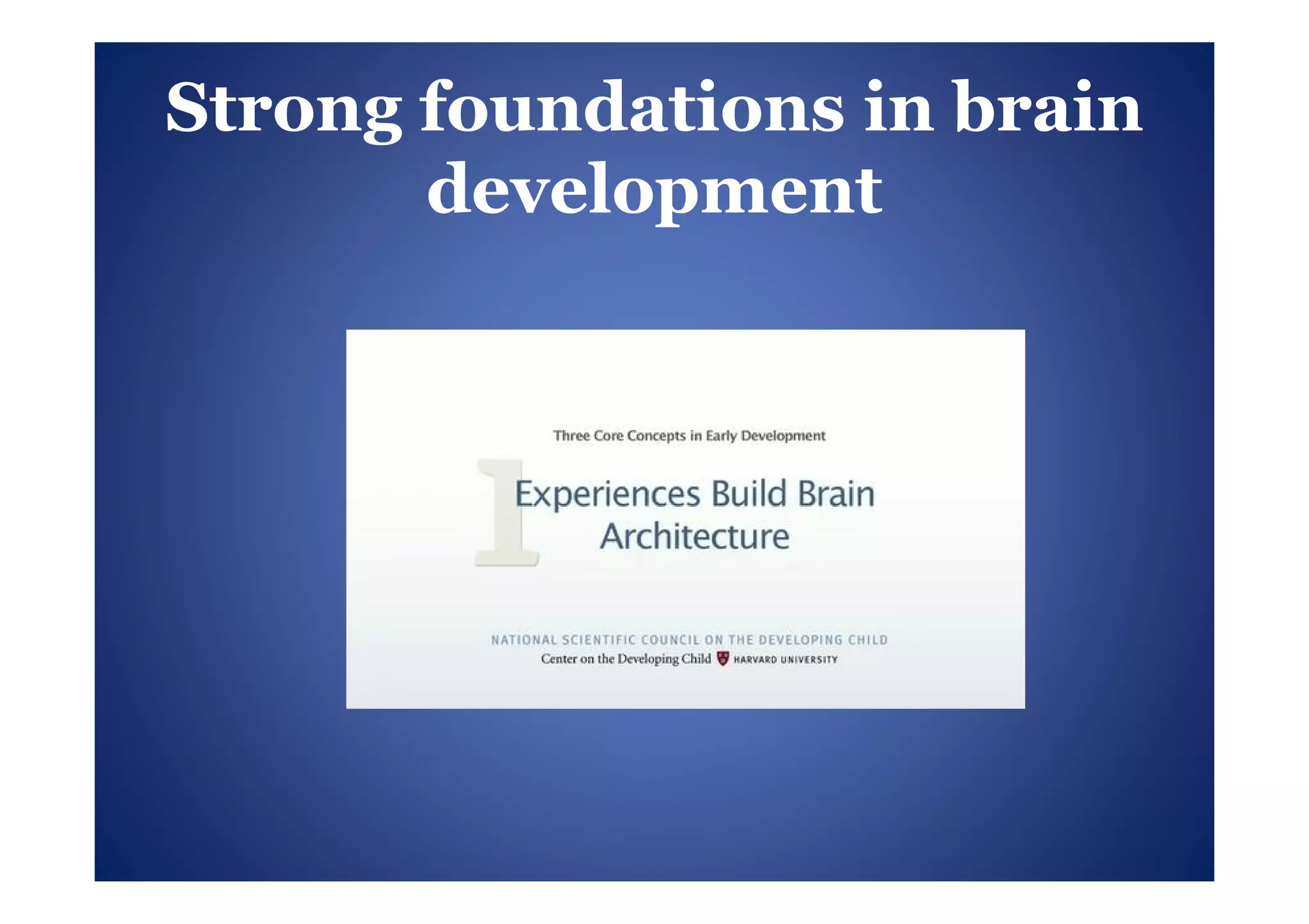 Strong foundations in brain
       development
 