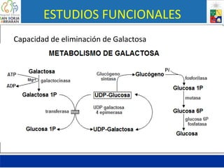 ESTUDIOS FUNCIONALES
Capacidad de eliminación de Galactosa
• Porcentaje de eliminación de la sangre
• Depende de la fosforilación de la Galactosa por la
Galactokinasa.
• La eliminación completa debería lograrse en 50 min.
Luego de inyección ev.
• Se realizan mediciones de plasma y orina.
 