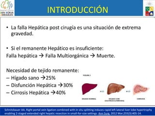 INTRODUCCIÓN
• La falla Hepática post cirugía es una situación de extrema
gravedad.
• Si el remanente Hepático es insuficiente:
Falla hepática  Falla Multiorgánica  Muerte.
Necesidad de tejido remanente:
– Hígado sano 25%
– Disfunción Hepática 30%
– Cirrosis Hepática 40%
Schnitzbauer AA. Right portal vein ligation combined with in situ splitting induces rapid left lateral liver lobe hypertrophy
enabling 2-staged extended right hepatic resection in small-for-size settings. Ann Surg. 2012 Mar;255(3):405-14.
 