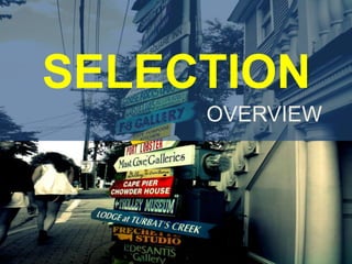 SELECTION OVERVIEW 