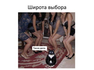 Широта выбора
 