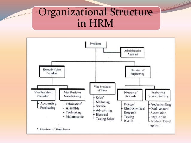 Human Resource Management Hierarchy Chart