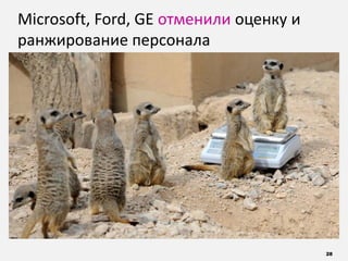 28
Microsoft, Ford, GE отменили оценку и
ранжирование персонала
 