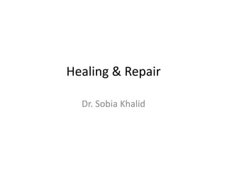 Healing & Repair
Dr. Sobia Khalid
 