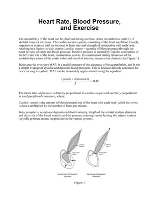 Heart Rate, Blood Pressure,
                       and Exercise
The adaptability of the heart can be observed during exercise, when the metabolic activity of
skeletal muscles increases. The cardiovascular system, consisting of the heart and blood vessels,
responds to exercise with an increase in heart rate and strength of contraction with each beat,
resulting in a higher cardiac output (cardiac output = quantity of blood pumped through the
heart per unit of time) and blood pressure. Positive pressure is created by forceful contraction of
the left ventricle of the heart, measured as systole. It is maintained during relaxation of the
ventricle by closure of the aortic valve and recoil of arteries, measured as diastole (see Figure 1).

Mean arterial pressure (MAP) is a useful measure of the adequacy of tissue perfusion, and is not
a simple average of systolic and diastolic blood pressures. This is because diastole continues for
twice as long as systole. MAP can be reasonably approximated using the equation:

                                   ( systole 2(diastole))
                                                             MAP
                                             3


The mean arterial pressure is directly proportional to cardiac output and inversely proportional
to total peripheral resistance, where:

Cardiac output is the amount of blood pumped out of the heart with each beat (called the stroke
volume), multiplied by the number of beats per minute.

Total peripheral resistance depends on blood viscosity, length of the arterial system, diameter
and elasticity of the blood vessels, and the pressure entering versus leaving the arterial system
(systolic pressure minus the pressure in the venous system).




                                              Figure 1
 