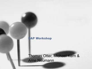 SAP Workshop Thomas Otter, Michael Kern & Arne Neumann 