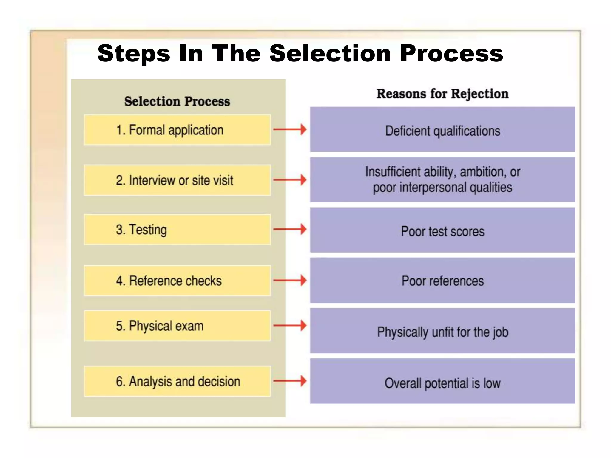 Steps In The Selection Process
 