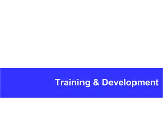 Training & Development 