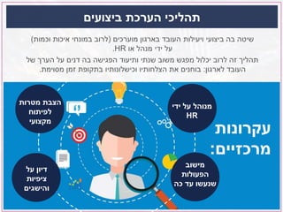 ‫מוערכים‬ ‫בארגון‬ ‫העובד‬ ‫ויעילות‬ ‫ביצועי‬ ‫בה‬ ‫שיטה‬(‫וכמות‬ ‫איכות‬ ‫במונחי‬ ‫לרוב‬)
‫או‬ ‫מנהל‬ ‫ידי‬ ‫על‬HR.
‫של‬ ‫הערך‬ ‫על‬ ‫דנים‬ ‫בה‬ ‫הפגישה‬ ‫ותיעוד‬ ‫שנתי‬ ‫משוב‬ ‫מפגש‬ ‫יכלול‬ ‫לרוב‬ ‫זה‬ ‫תהליך‬
‫לארגון‬ ‫העובד‬:‫מסוימת‬ ‫זמן‬ ‫בתקופת‬ ‫וכישלונותיו‬ ‫הצלחותיו‬ ‫את‬ ‫בוחנים‬.
‫ביצועים‬ ‫הערכת‬ ‫תהליכי‬
‫עקרונות‬
‫מרכזיים‬:
‫ידי‬ ‫על‬ ‫מנוהל‬
HR
‫על‬ ‫דיון‬
‫ציפיות‬
‫והישגים‬
‫מטרות‬ ‫הצבת‬
‫לפיתוח‬
‫מקצועי‬
‫מישוב‬
‫הפעולות‬
‫כה‬ ‫עד‬ ‫שנעשו‬
 