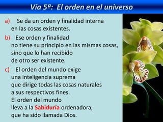 a) Se da un orden y finalidad interna
en las cosas existentes.
b) Ese orden y finalidad
no tiene su principio en las mismas cosas,
sino que lo han recibido
de otro ser existente.
c) El orden del mundo exige
una inteligencia suprema
que dirige todas las cosas naturales
a sus respectivos fines.
El orden del mundo
lleva a la Sabiduría ordenadora,
que ha sido llamada Dios.
Vía 5ª: El orden en el universo
 
