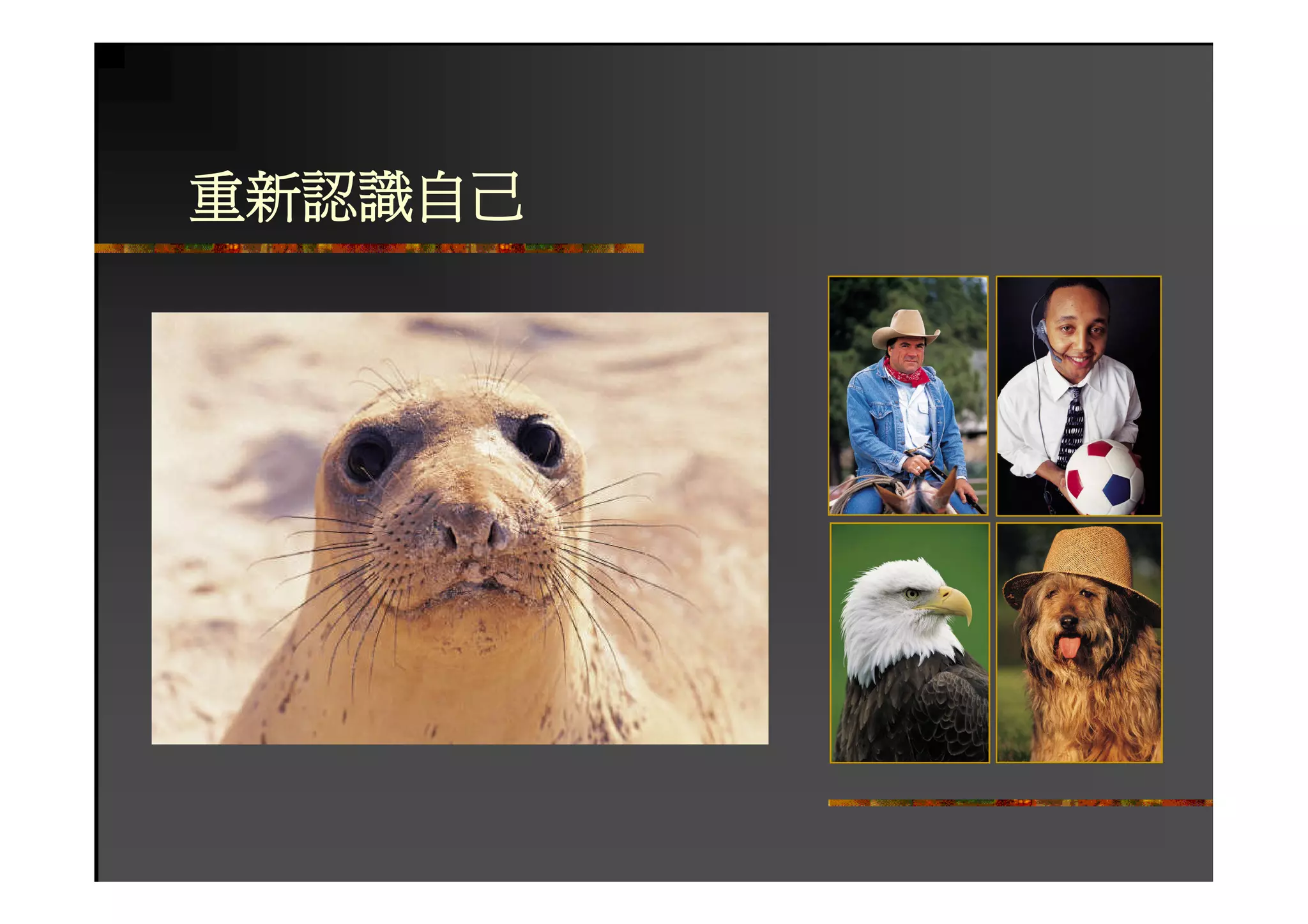 HR-082-個人優勢與職場發展