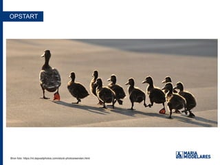 OPSTART
Bron foto: https://nl.depositphotos.com/stock-photos/eenden.htmlBron foto: https://nl.depositphotos.com/stock-photos/eenden.html
 