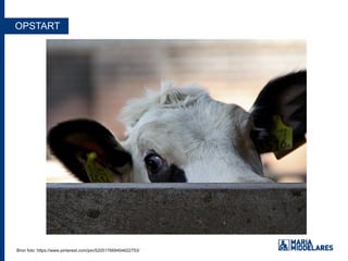 OPSTART
Bron foto: https://www.pinterest.com/pin/520517669404622753/Bron foto: https://www.pinterest.com/pin/520517669404622753/
 