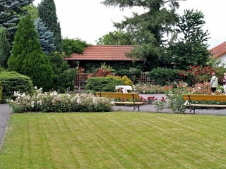 Hradecké rozárium 2013