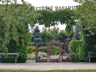 Hradecké rozárium 2013