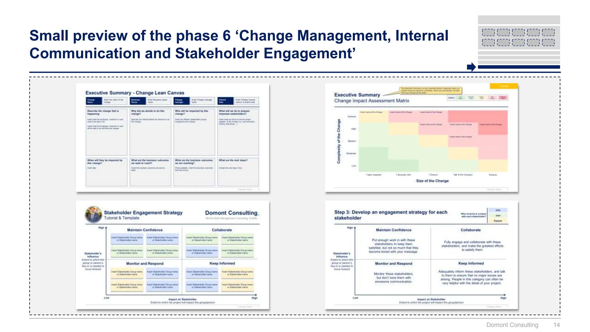 Small preview of the phase 6 ‘Change Management, Internal
Communication and Stakeholder Engagement’
Domont Consulting 14
 