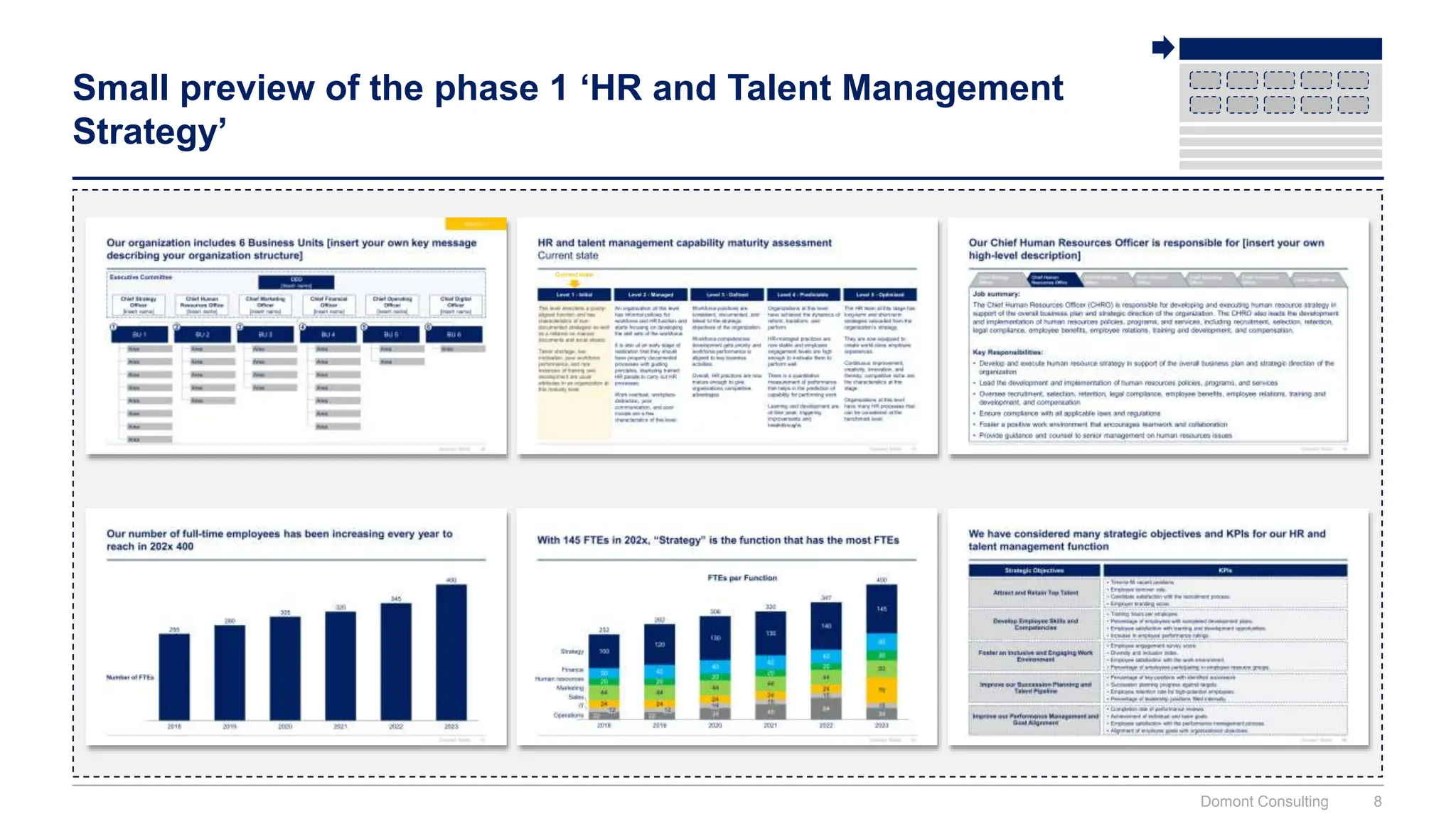 Small preview of the phase 1 ‘HR and Talent Management
Strategy’
Domont Consulting 8
 