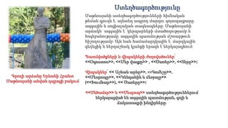 Գրողի արձանը Երևանի Հրանտ
Մաթևոսյանի անվան դպրոցի բակում
Ստեղծագործությունը
Մաթևոսյանի ստեղծագործությունների հիմնական
թեման գյուղն է, այնտեղ ապրող մարդու գոյապայքարը,
ազգային և սոցիալական տագնապները։ Մաթևոսյանի
արձակն ազգային է՝ կերպարների մտածողությամբ և
հոգեբանությամբ, ազգային պատմության մշտարթուն
հիշողությամբ։ Այն նաև համամարդկային է․ մարդկային
գեղեցիկ և ներդաշնակ կյանքի երազն է ներկայացնում։
Պատմվածքների և վիպակների ժողովածուներ՝
<<Օգոստոս>>, <<Մեր վազքը>> , <<Ծառեր>>, <<Տերը>>։
Վիպակներ՝ << Աշնան արևը>>, <<Գոմեշը>>,
<<Մեսրոպը>>, <<Կենդանին և մեռյալը>>
(<<Խումհար>>), << Ծառերը>>։
<<Մեծամոր>> և <<Մեսրոպ>> ստեղծագործություններում
ներկայացված են ազգային պատմության, գոյի և
ճակատագրի խնդիրները։
 