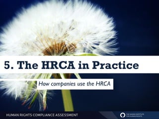 5. The HRCA in Practice
     How companies use the HRCA
 