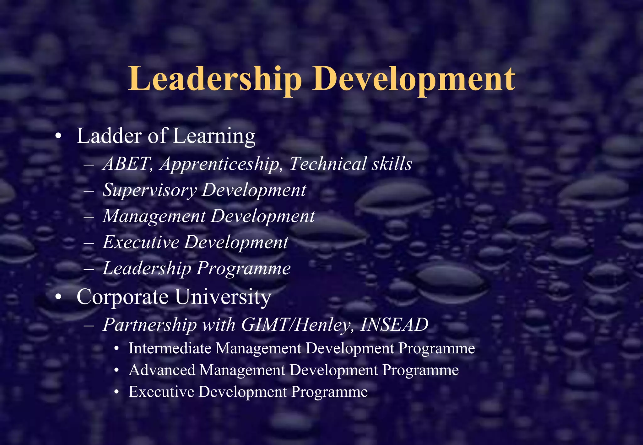 Human Resource StructureCorporateHRFunctionStrategic emphasis