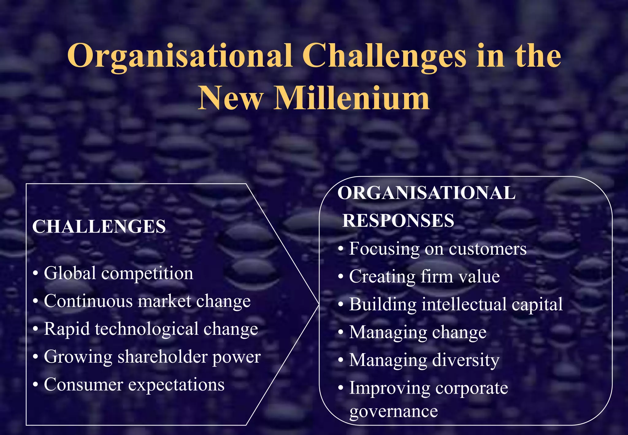 Organisational Challenges in the New MilleniumORGANISATIONAL RESPONSESFocusing on customers